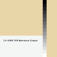 Color chip: 13-0815 TPX Banana Crepe