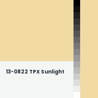 Color chip: 13-0822 TPX Sunlight