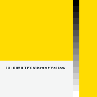 Color chip: 13-0858 TPX Vibrant Yellow
