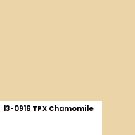 Color chip: 13-0916 TPX Chamomile