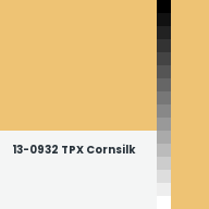 Color chip: 13-0932 TPX Cornsilk