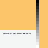 Color chip: 13-0940 TPX Sunset Gold