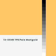 Color chip: 13-0945 TPX Pale Marigold