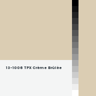 Color chip: 13-1006 TPX Crème Brûlée