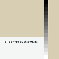 Color chip: 13-1007 TPX Oyster White