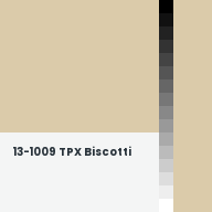 Color chip: 13-1009 TPX Biscotti
