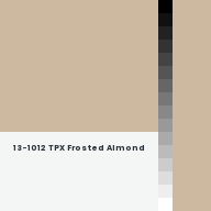 Color chip: 13-1012 TPX Frosted Almond