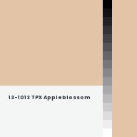 Color chip: 13-1013 TPX Appleblossom