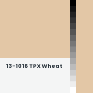 Color chip: 13-1016 TPX Wheat