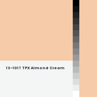 Color chip: 13-1017 TPX Almond Cream
