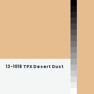 Color chip: 13-1018 TPX Desert Dust