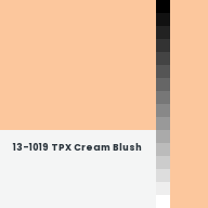 Color chip: 13-1019 TPX Cream Blush