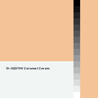 Color chip: 13-1022 TPX Caramel Cream