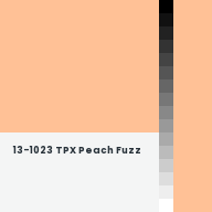 Color chip: 13-1023 TPX Peach Fuzz