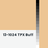 Color chip: 13-1024 TPX Buff