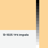 Color chip: 13-1025 TPX Impala
