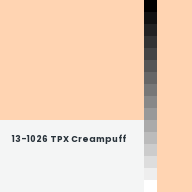 Color chip: 13-1026 TPX Creampuff