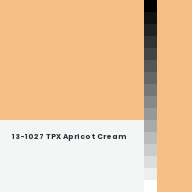Color chip: 13-1027 TPX Apricot Cream