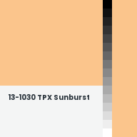 Color chip: 13-1030 TPX Sunburst