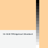 Color chip: 13-1031 TPX Apricot Sherbet