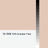 Color chip: 13-1108 TPX Cream Tan