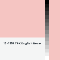 Color chip: 13-1310 TPX English Rose