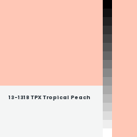 Color chip: 13-1318 TPX Tropical Peach