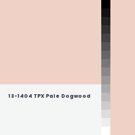 Color chip: 13-1404 TPX Pale Dogwood