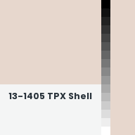 Color chip: 13-1405 TPX Shell