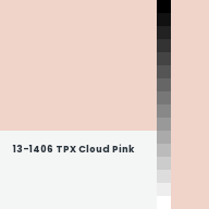 Color chip: 13-1406 TPX Cloud Pink
