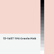 Color chip: 13-1407 TPX Creole Pink