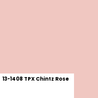 Color chip: 13-1408 TPX Chintz Rose