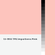 Color chip: 13-1510 TPX Impatiens Pink