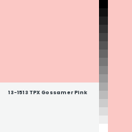 Color chip: 13-1513 TPX Gossamer Pink