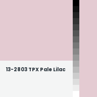 Color chip: 13-2803 TPX Pale Lilac