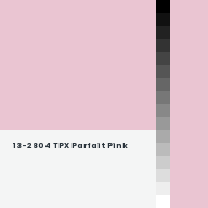 Color chip: 13-2804 TPX Parfait Pink