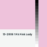 Color chip: 13-2806 TPX Pink Lady
