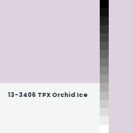 Color chip: 13-3406 TPX Orchid Ice