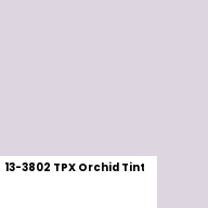 Color chip: 13-3802 TPX Orchid Tint