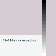 Color chip: 13-3804 TPX Gray Lilac