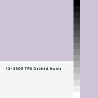 Color chip: 13-3805 TPX Orchid Hush