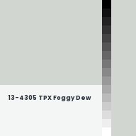 Color chip: 13-4305 TPX Foggy Dew