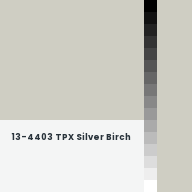 Color chip: 13-4403 TPX Silver Birch