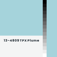 Color chip: 13-4809 TPX Plume
