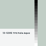 Color chip: 13-5305 TPX Pale Aqua