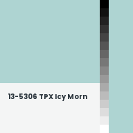 Color chip: 13-5306 TPX Icy Morn
