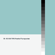 Color chip: 13-5309 TPX Pastel Turquoise