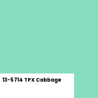 Color chip: 13-5714 TPX Cabbage