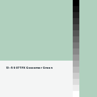 Color chip: 13-5907 TPX Gossamer Green