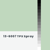 Color chip: 13-6007 TPX Spray